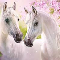 Пазлы «Лошади» (300 элементов)